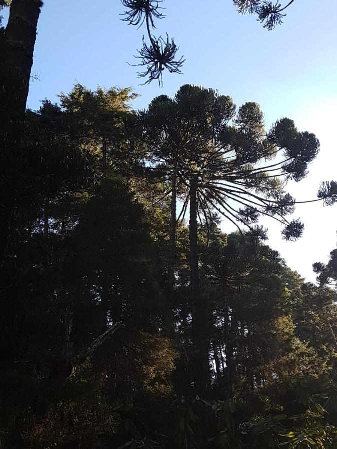 Apartamento Condessa De Bonneval Em *