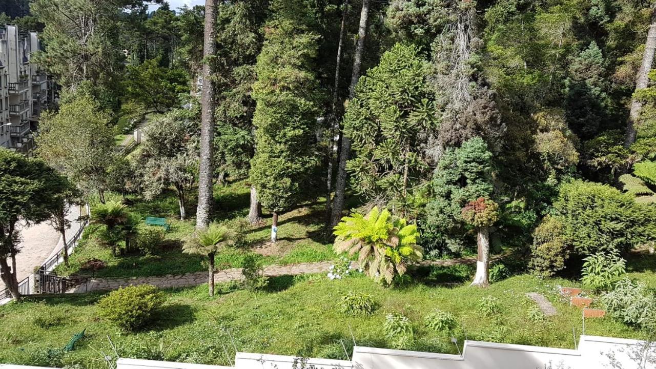 Apartamento Condessa De Bonneval Em *